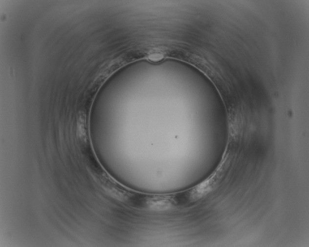 X0000073710175200608171147