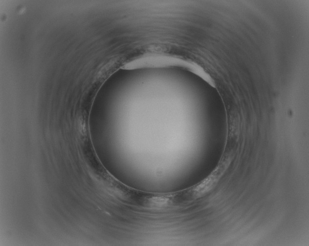 X0000073710176200608171147