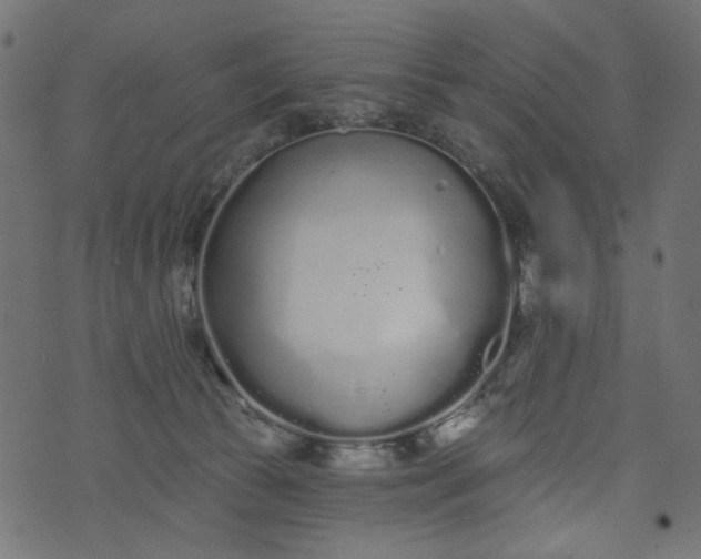 X0000073710177200608171147