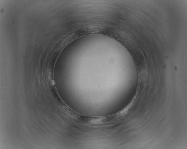 X0000073710178200608171147