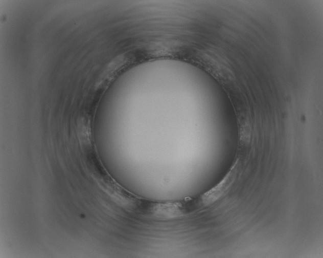 X0000073710179200608171147