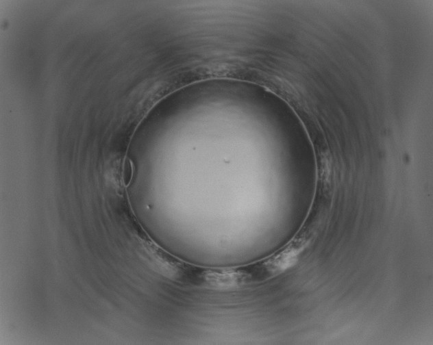 X0000073710181200608171147