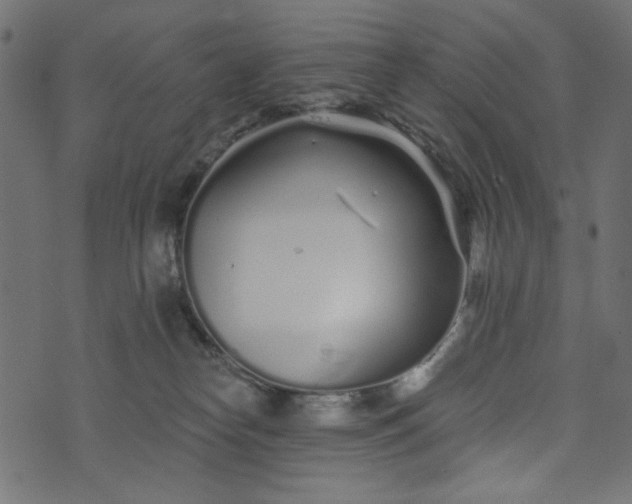 X0000073710182200608171147