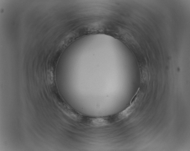 X0000073710183200608171147