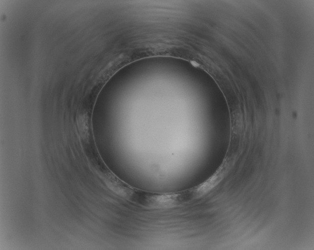 X0000073710184200608171147