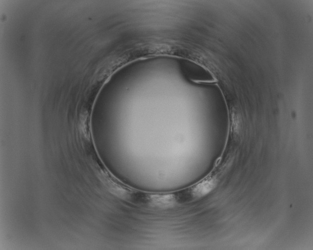 X0000073710185200608171147