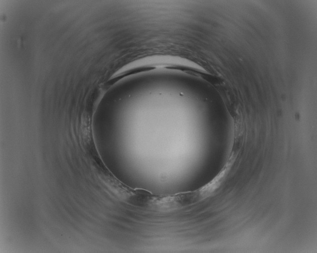 X0000073710186200608171147