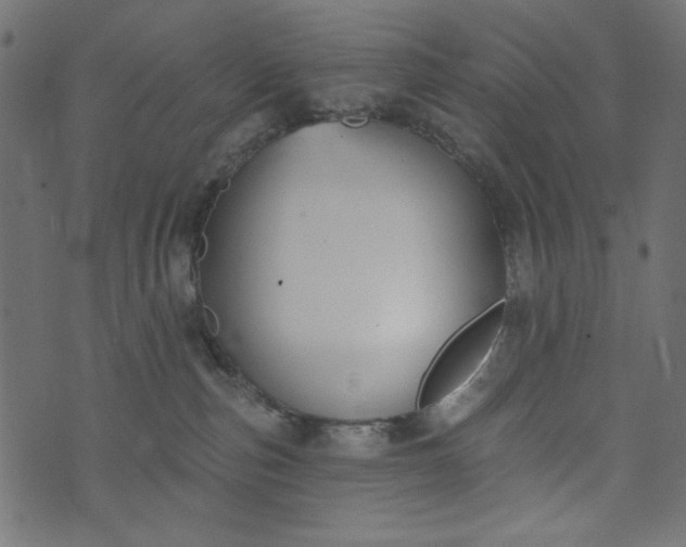 X0000073710187200608171147