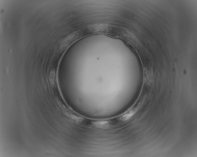 X0000073710189200608171147