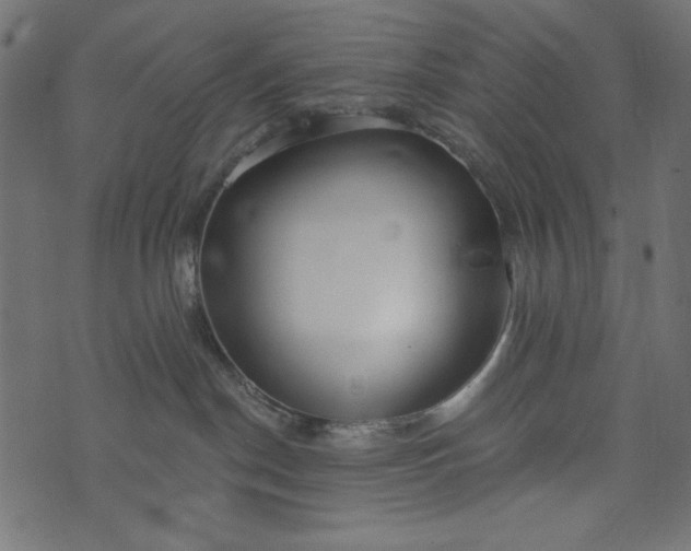 X0000073710190200608171147