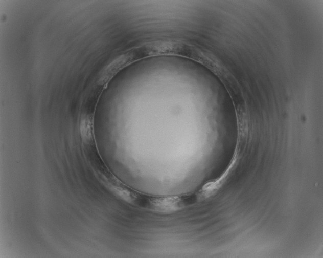 X0000073710191200608171147