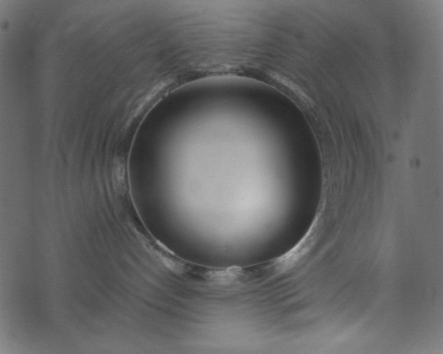 X0000073710192200608171147