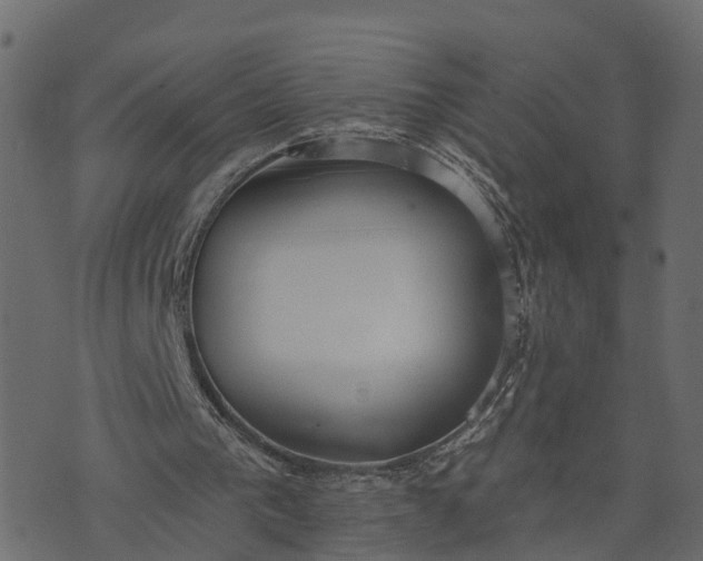 X0000073710193200608171147