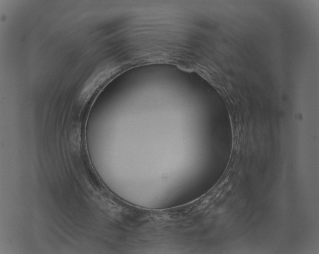 X0000073710194200608171147