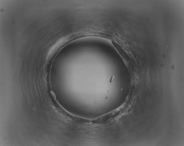 X0000073710197200608171147