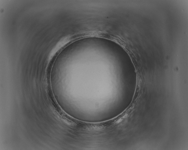 X0000073710198200608171146