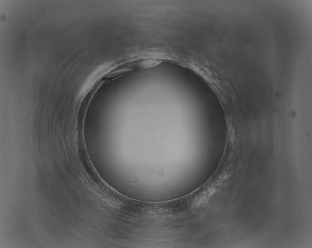 X0000073710199200608171146