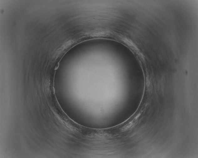 X0000073710201200608171146