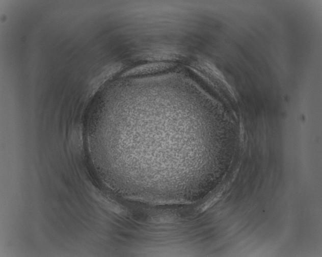 X0000073710202200608171146