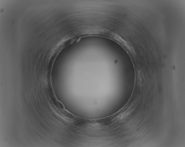 X0000073710203200608171146