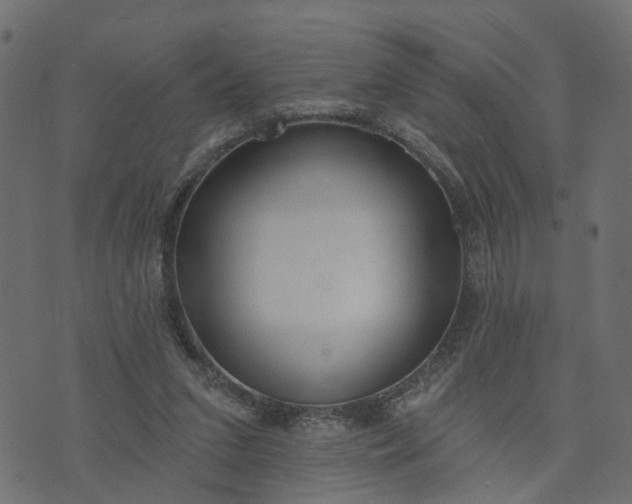 X0000073710207200608171146