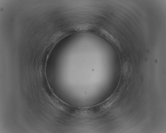 X0000073710209200608171146