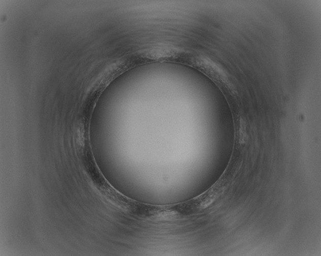 X0000073710210200608171146