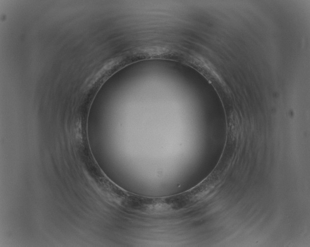 X0000073710212200608171146