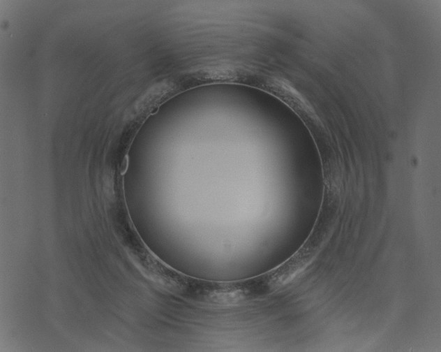 X0000073710213200608171146