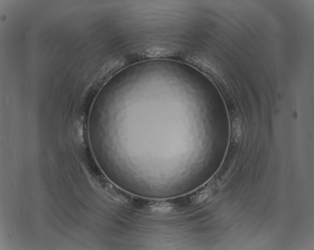 X0000073710214200608171146