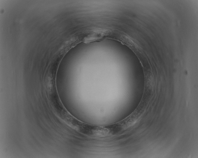 X0000073710215200608171146