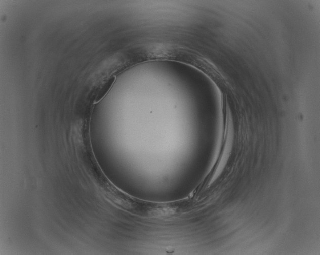 X0000073710217200608171146