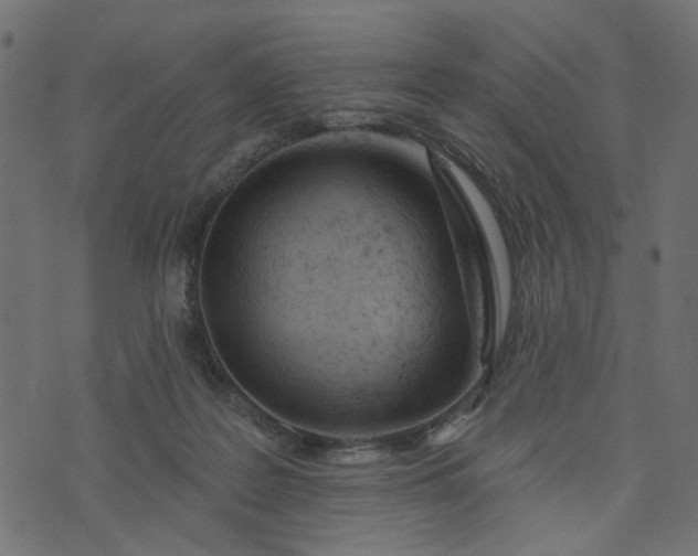 X0000073710219200608171146