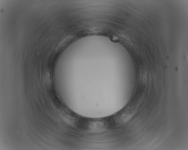 X0000073710220200608171146