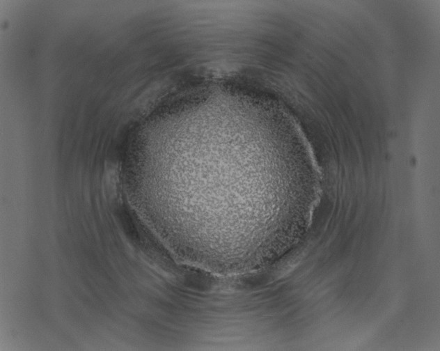 X0000073710222200608171146