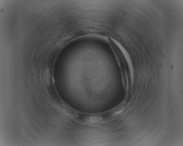 X0000073710223200608171146