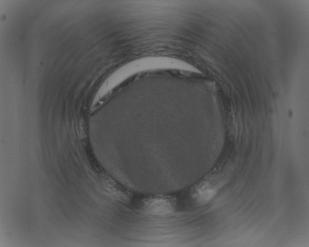 X0000073710224200608171146