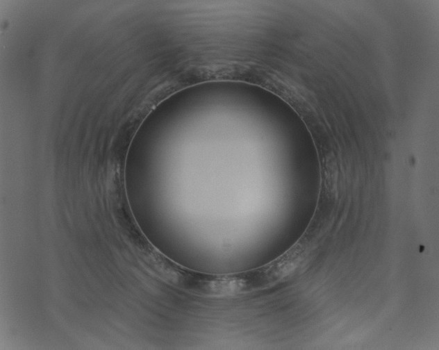 X0000073710225200608171146