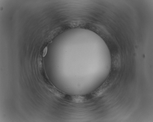 X0000073710226200608171146