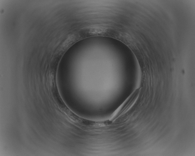 X0000073710227200608171146