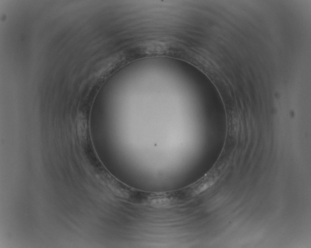 X0000073710228200608171146