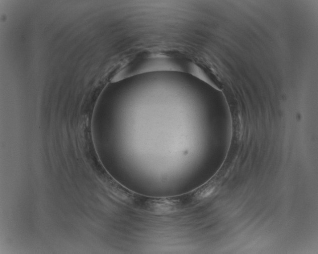 X0000073710229200608171146