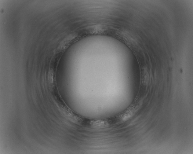 X0000073710230200608171146