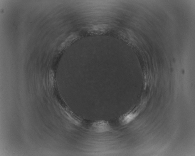 X0000073710231200608171146