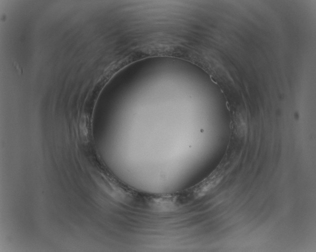 X0000073710232200608171146