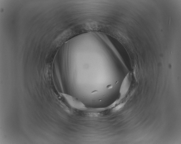 X0000073710233200608171146