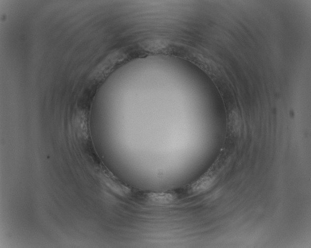 X0000073710234200608171146