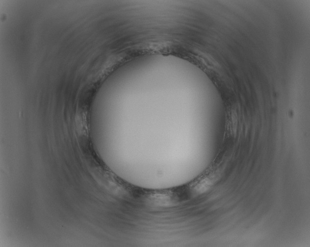 X0000073710236200608171146