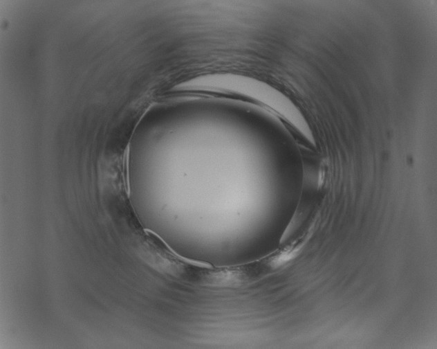 X0000073710237200608171146