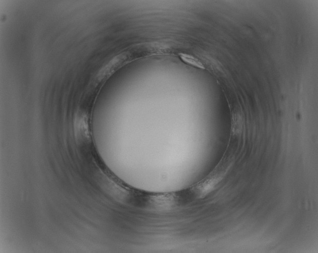 X0000073710238200608171146